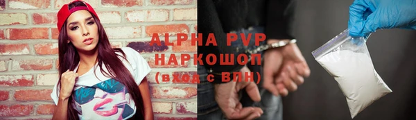 прущий лед Магас