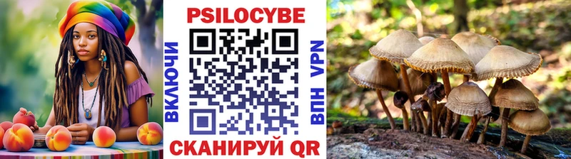 Купить  Советский  Псилоцибиновые грибы Psilocybine cubensis 